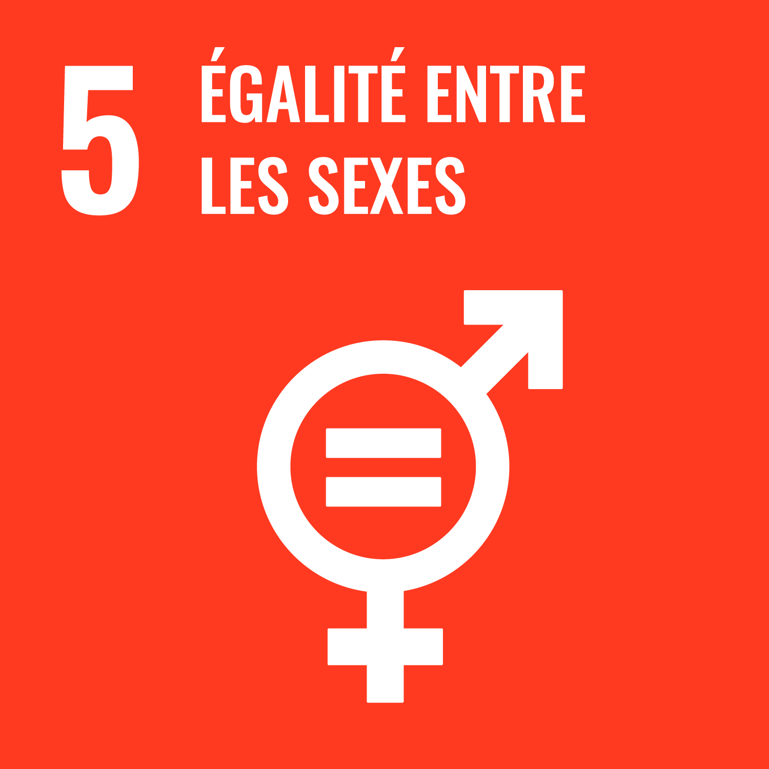 ODD 5 — Égalité entre les sexes